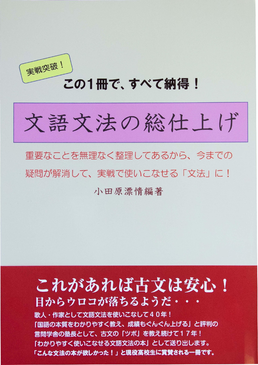 文語文法の総仕上げ―実戦突破!この1冊で、すべて納得!